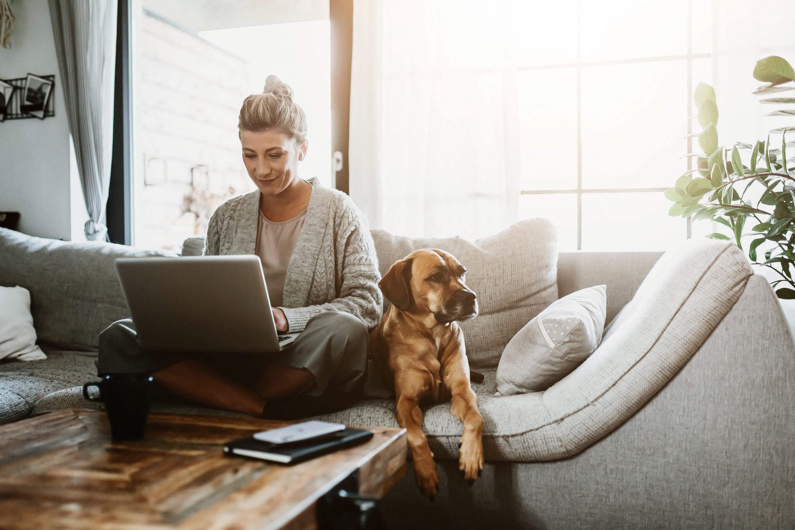 New residential tenancy laws: What renters and landlords need to know