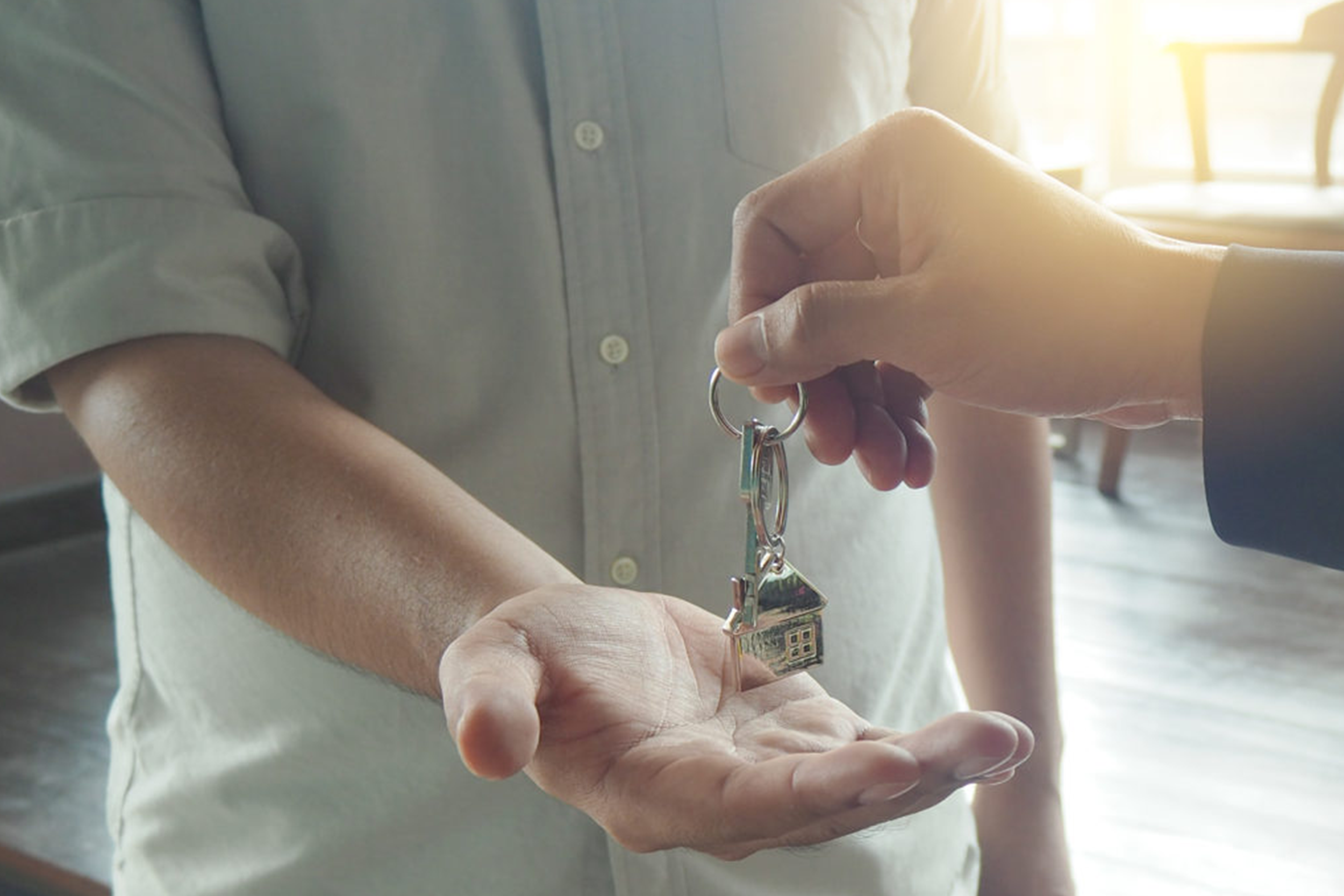 The Property Law Act 2007 – for landlords and tenants